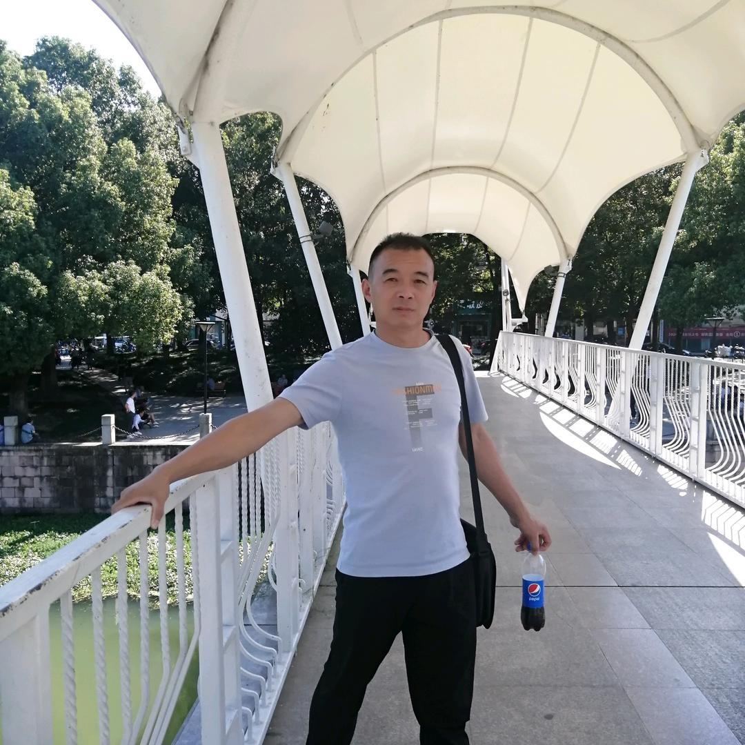 zqh~~～信阳毛尖