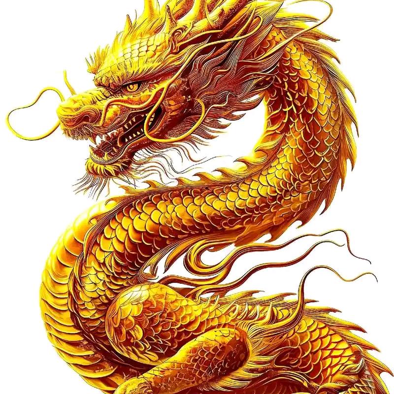 飞哥锣鼓