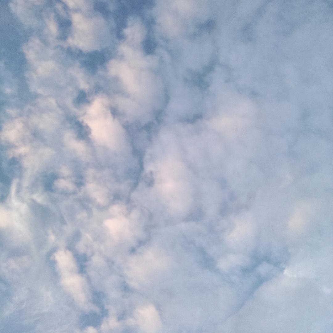 （小瞿）困味道