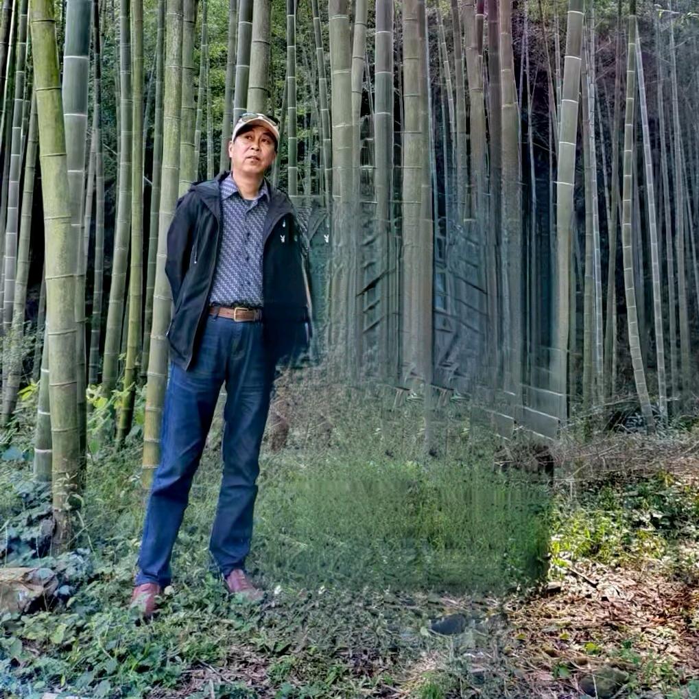 竹林清风紫砂