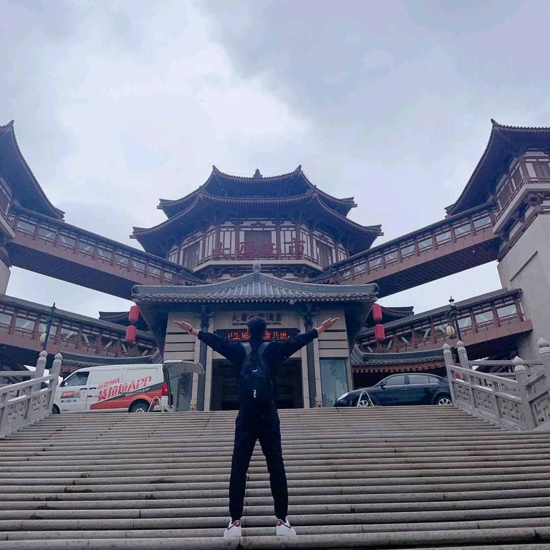 斑马睡着了