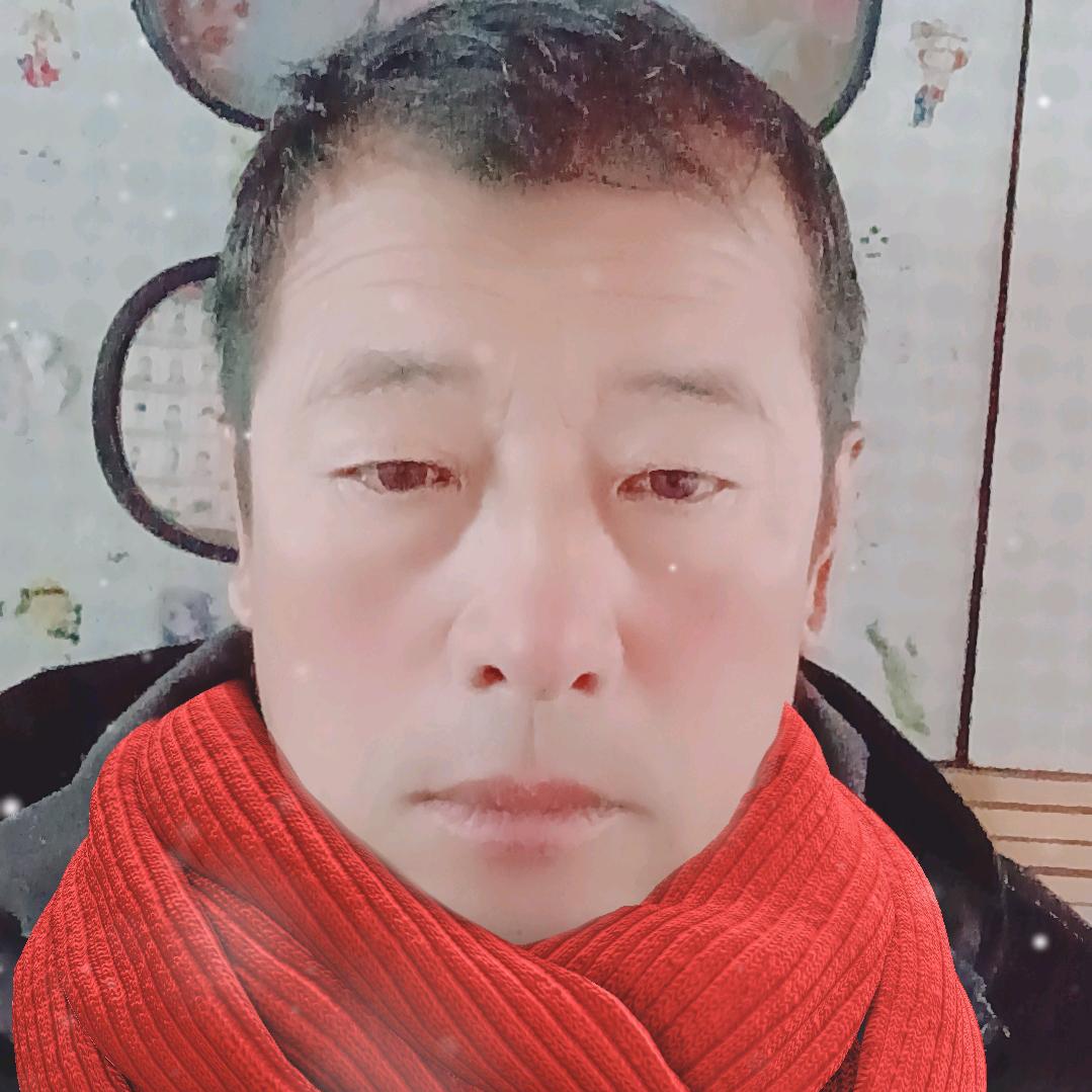 东北大额