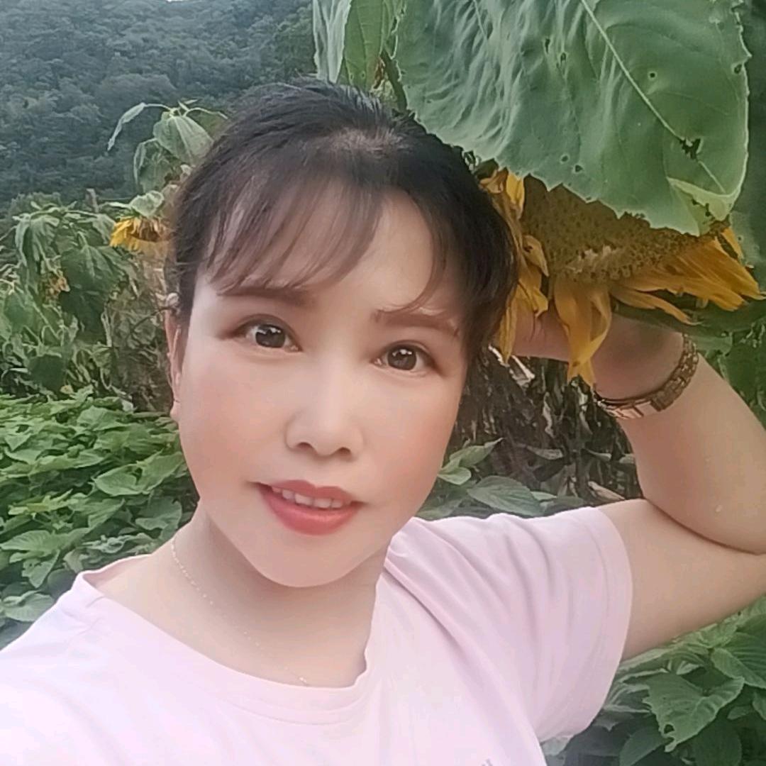 英英姐
