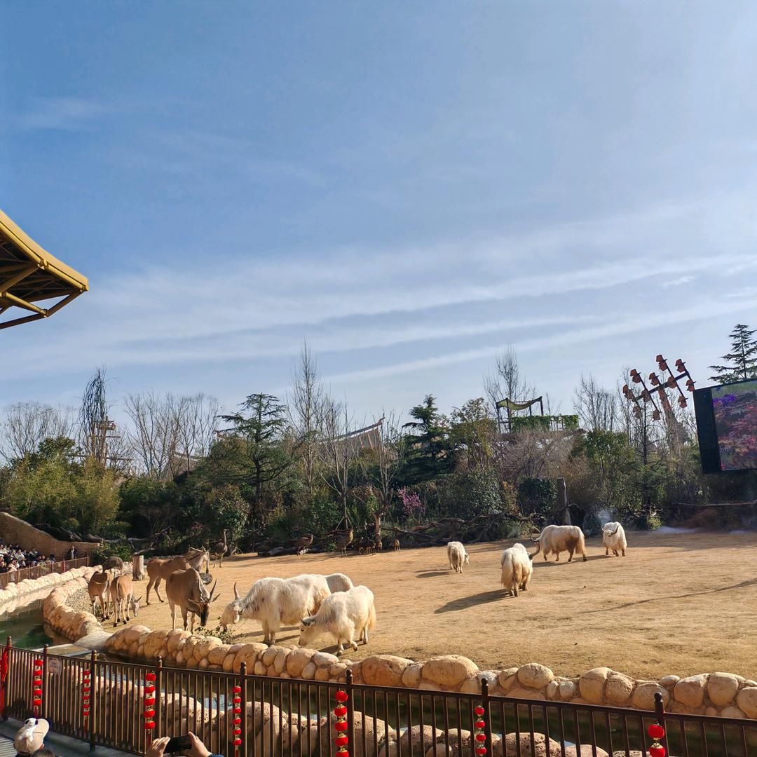 搬砖挣钱又一天