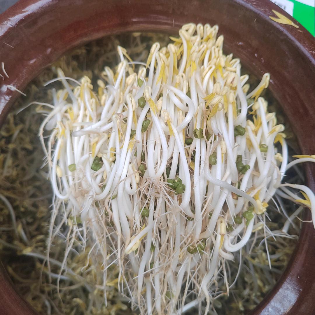 卖豆芽的胡小姐