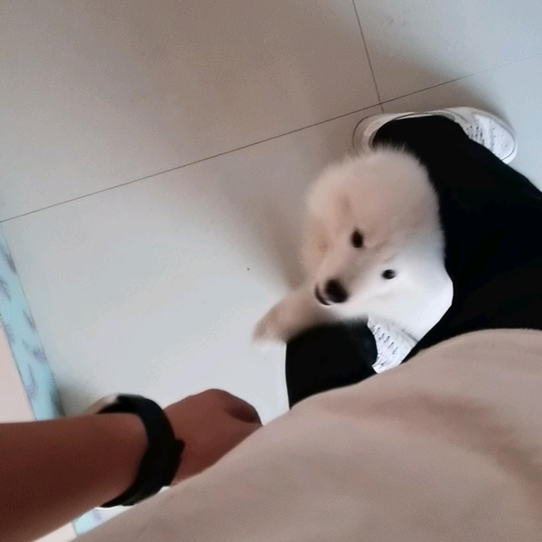 A.府谷烂卖擀面皮的