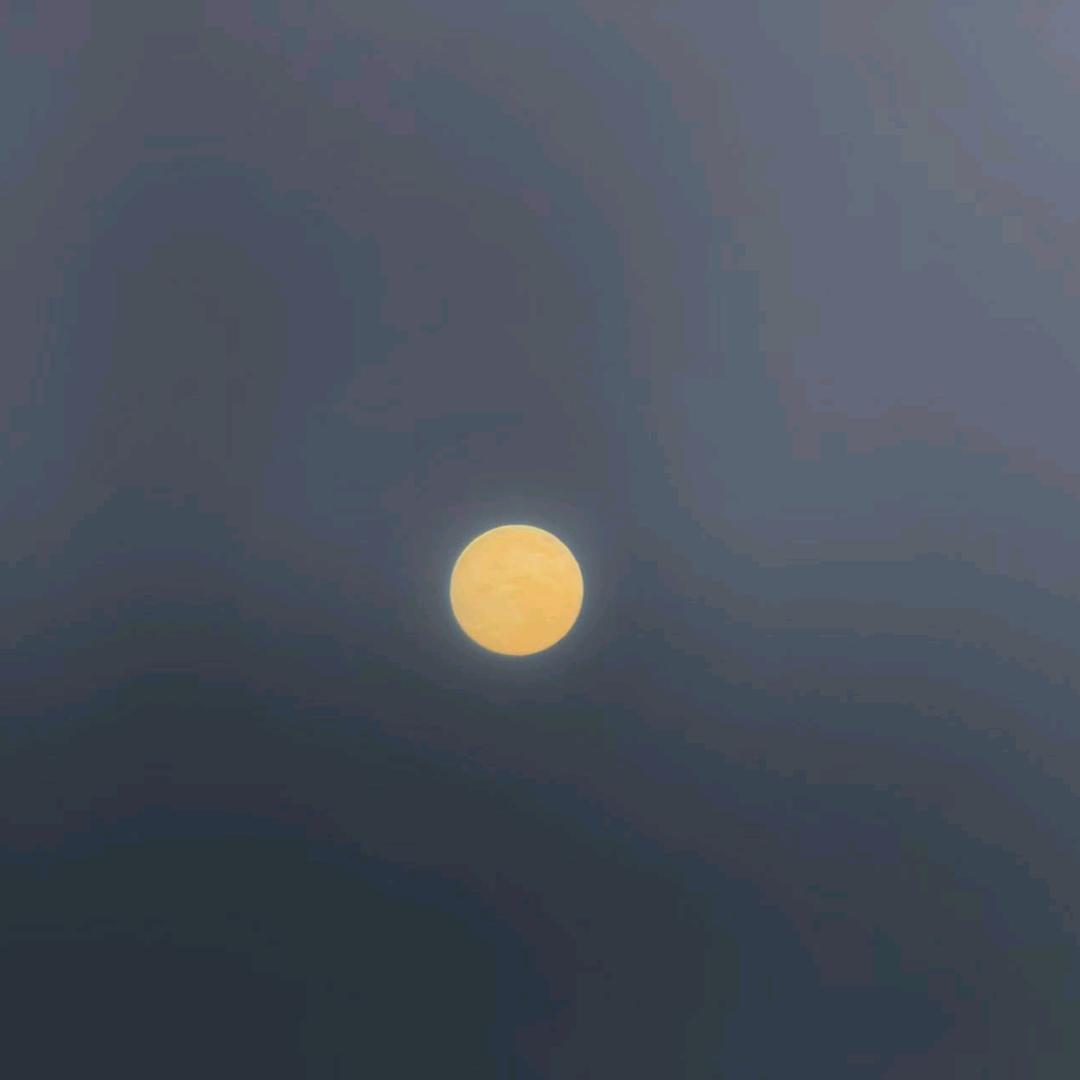 李记军