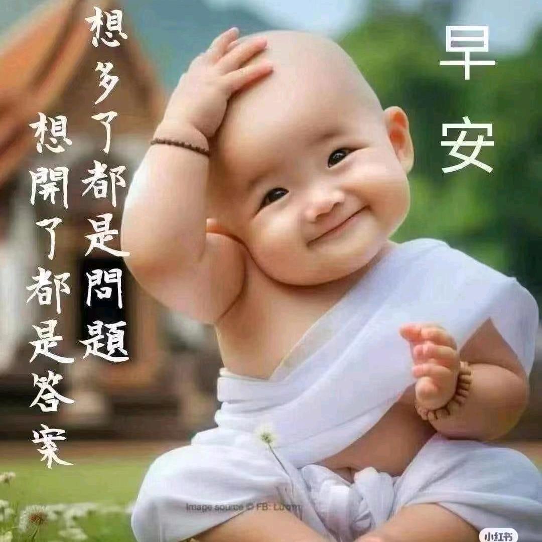 燕子