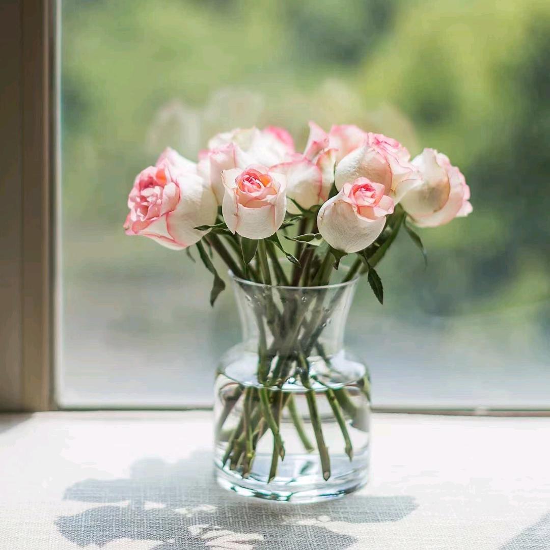 宁静致远（不私聊）