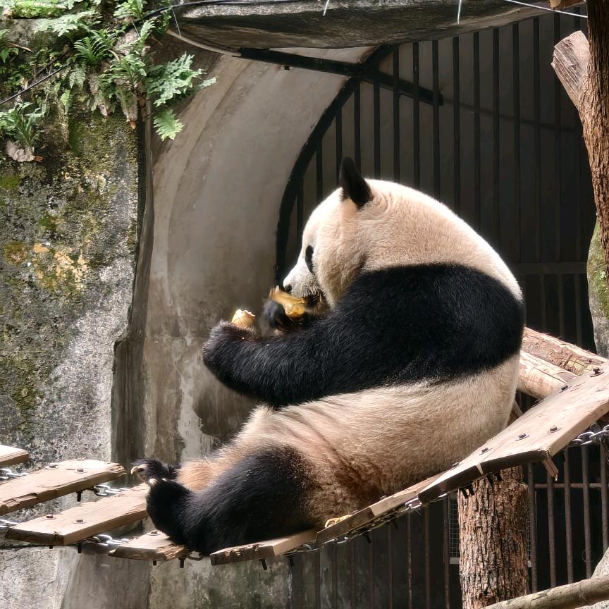 “江南”
