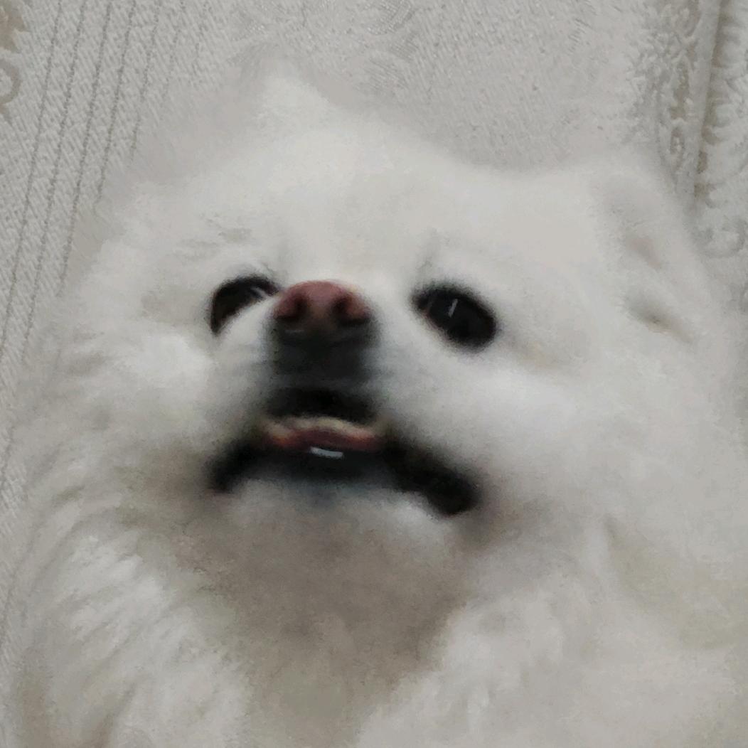 ，。？！～……