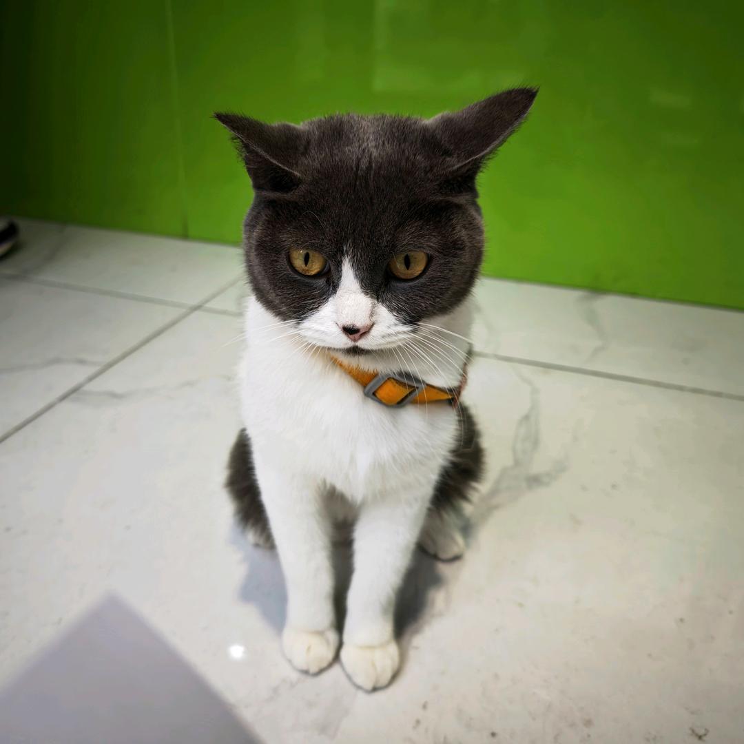 不在寄修中心小肖