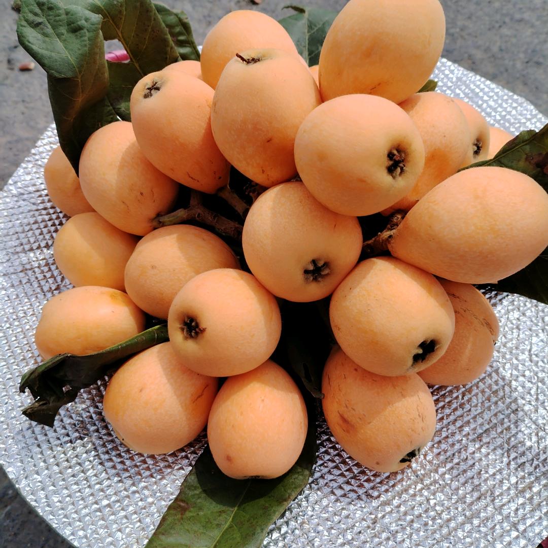 王志远