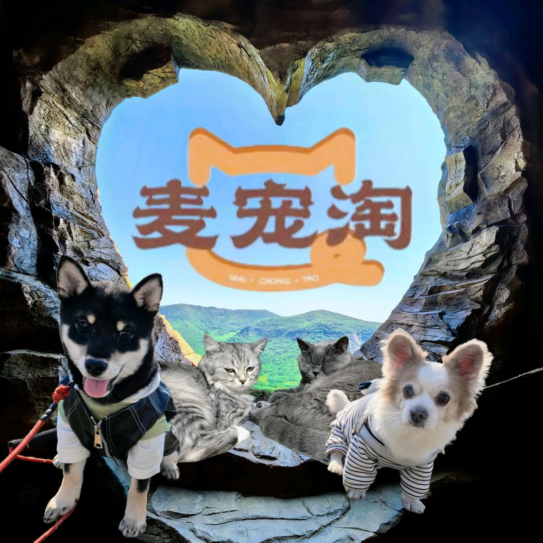 麦宠淘宠物零食