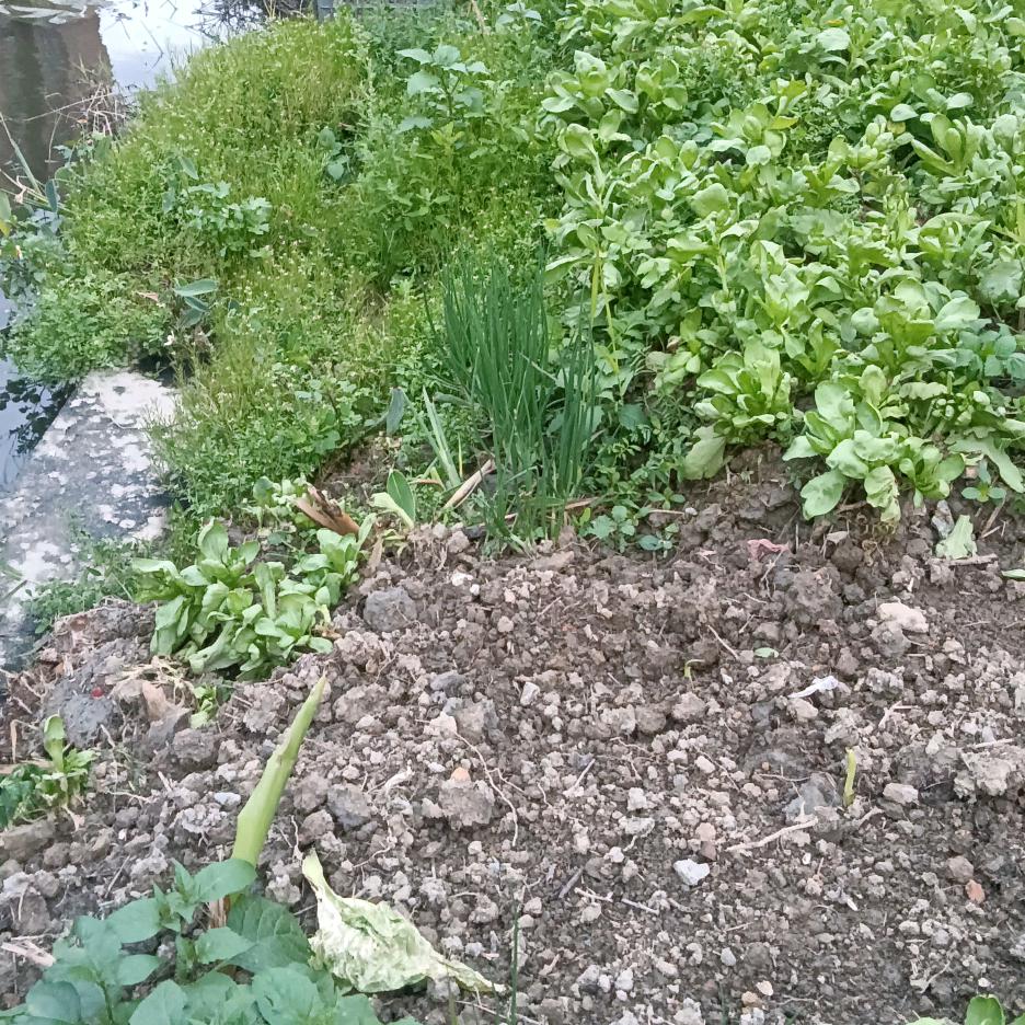 小一爱分享爱学习