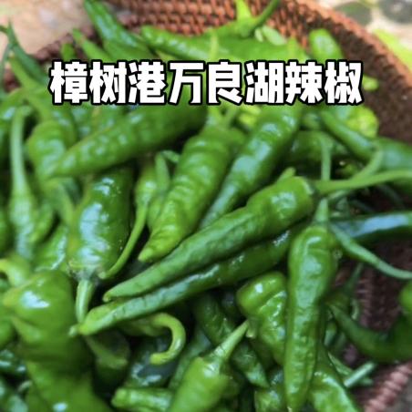 勇往直前
