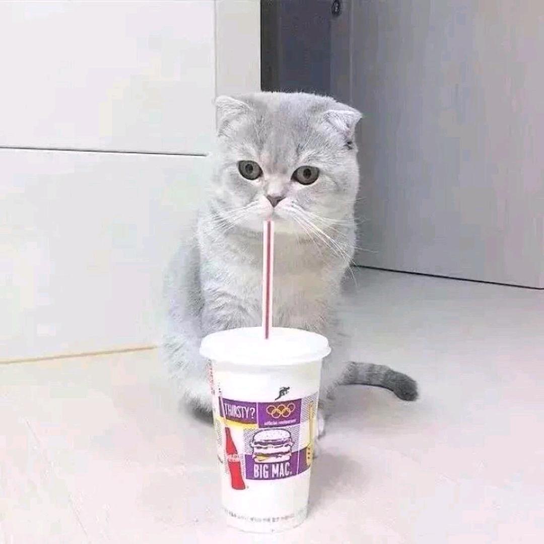 .🌙