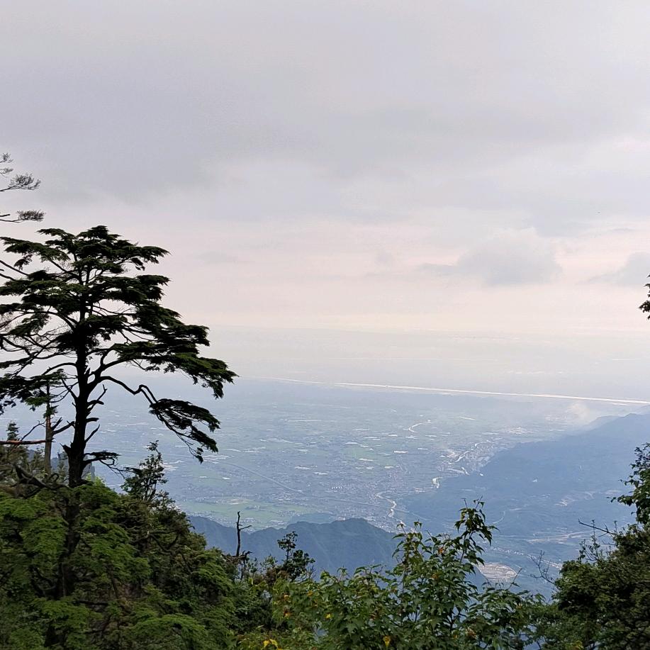 林路明（林先兵）