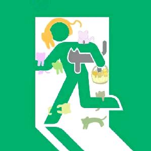 带着猫百万撤离