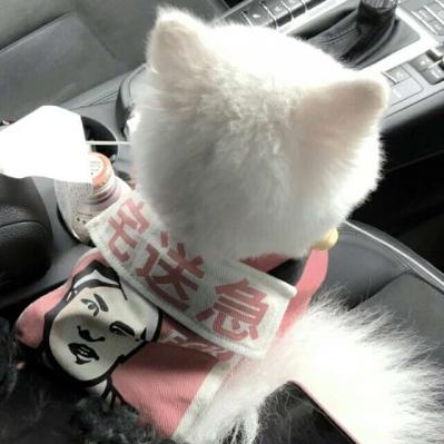 冰冰爱喝热水丶