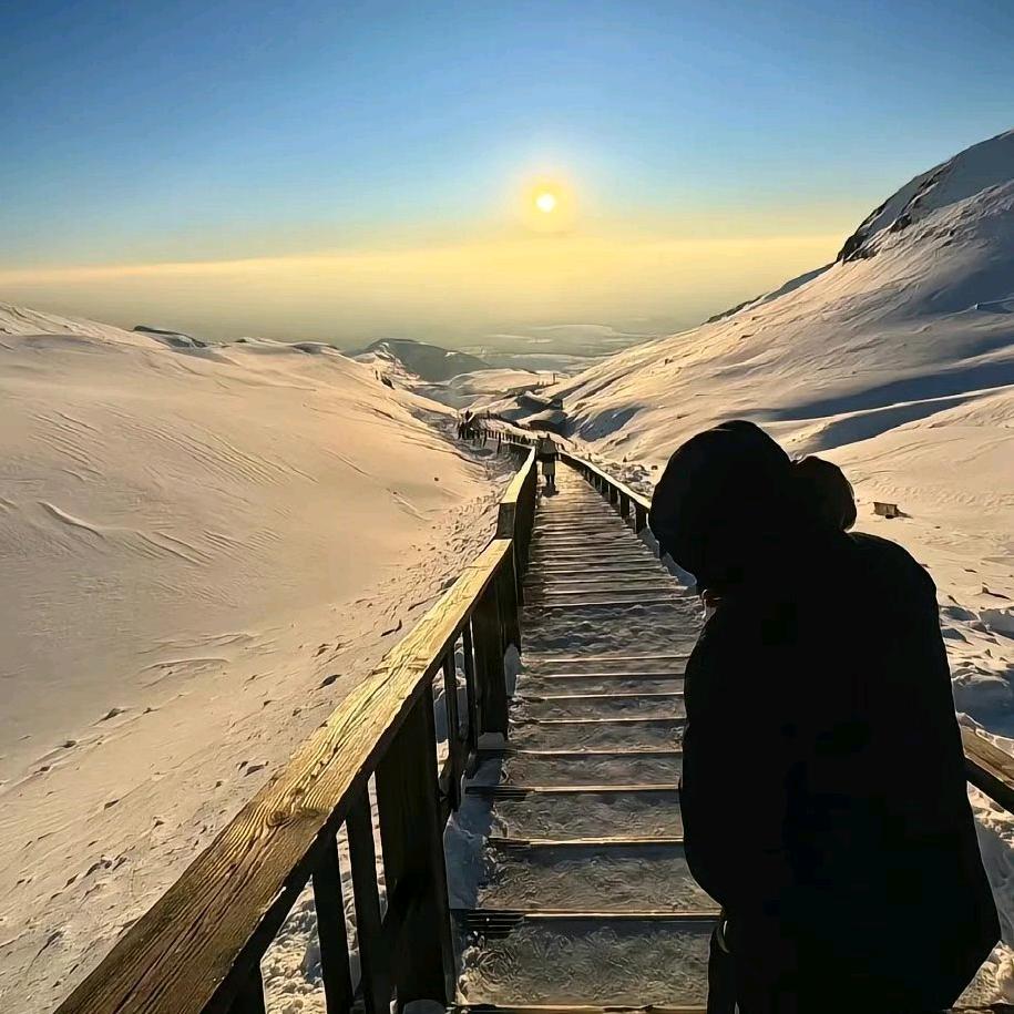 三角洲（夏天）