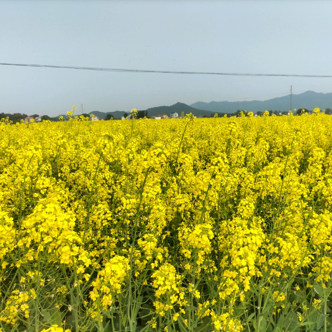 夏天