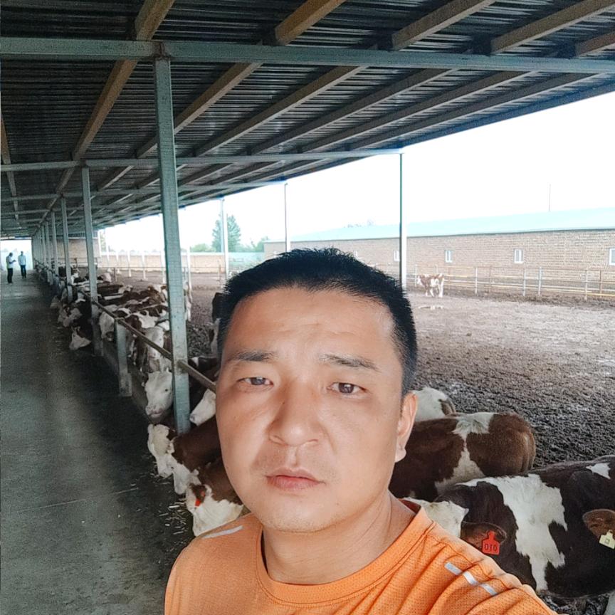 大同畜牧守护人（80后百瑞小沈在线）