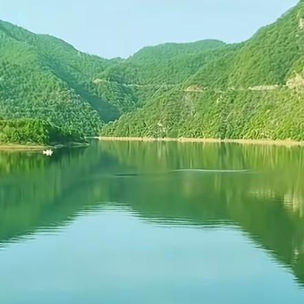 红皮土豆