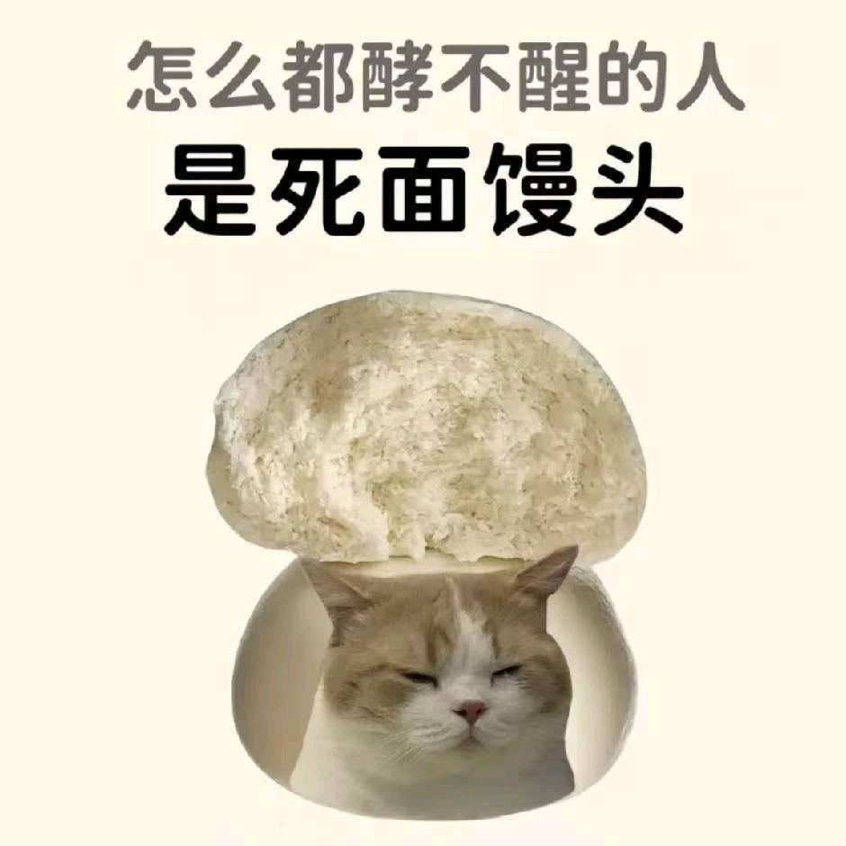 智慧果🍎