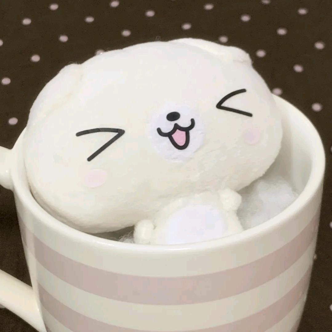 QQ雅
