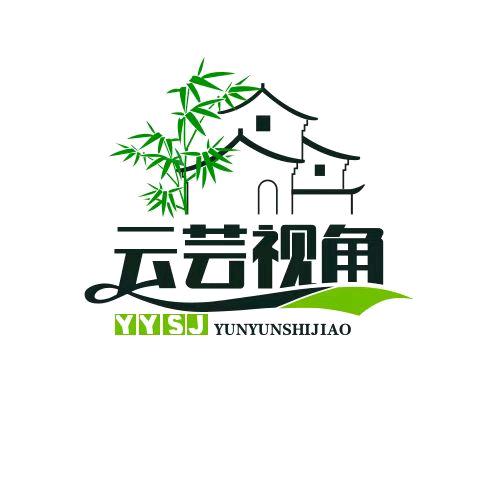 云芸视角