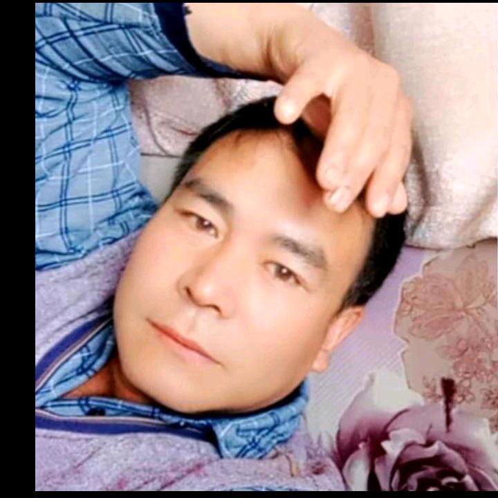 自由飞翔