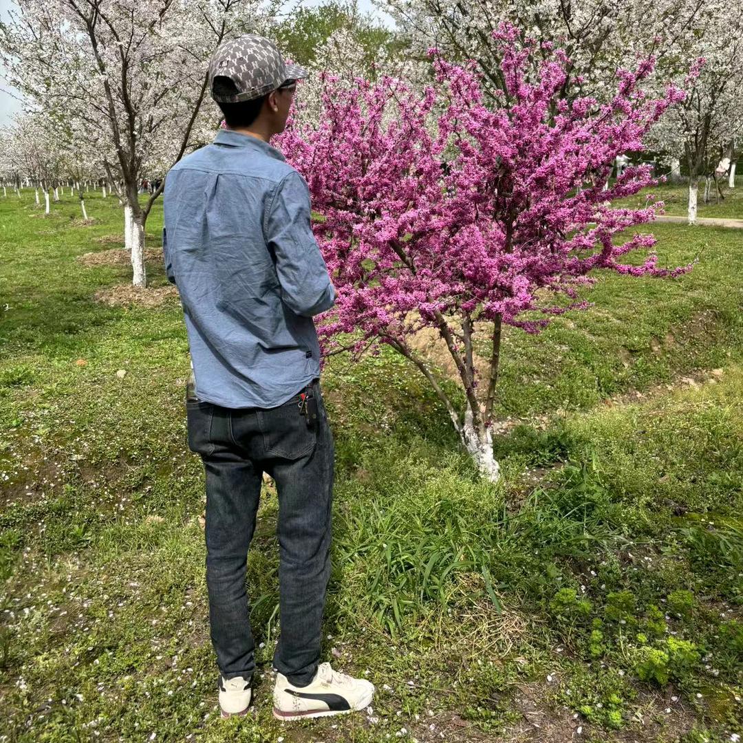 大聪明