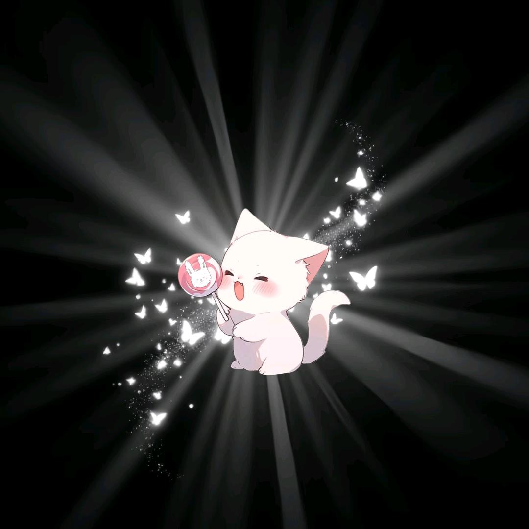 IPO•狸狸៸៸᳐ ੭ﾞ🐾