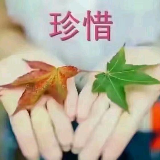健康快乐