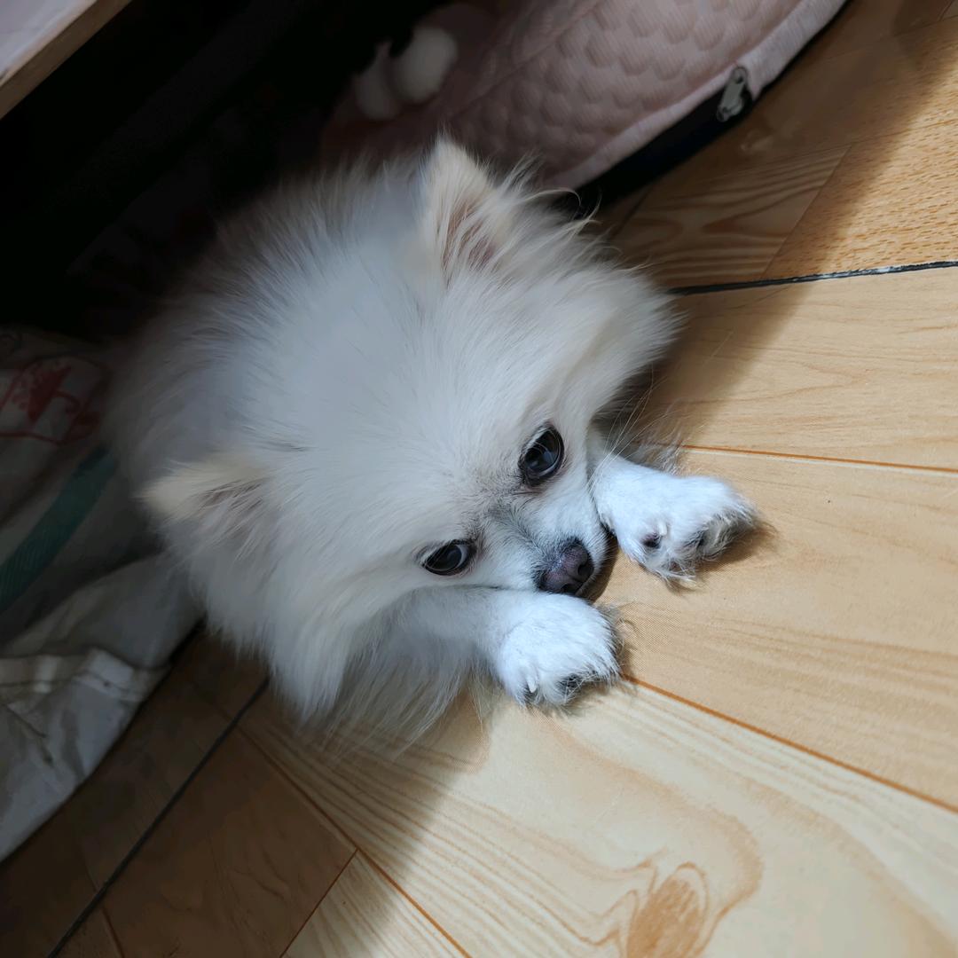 世间只有一个我