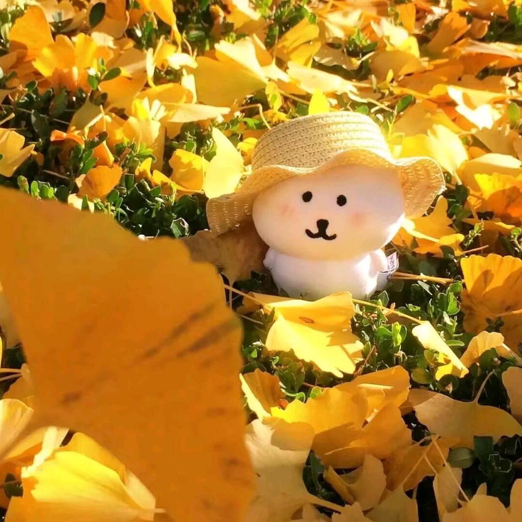 🍯