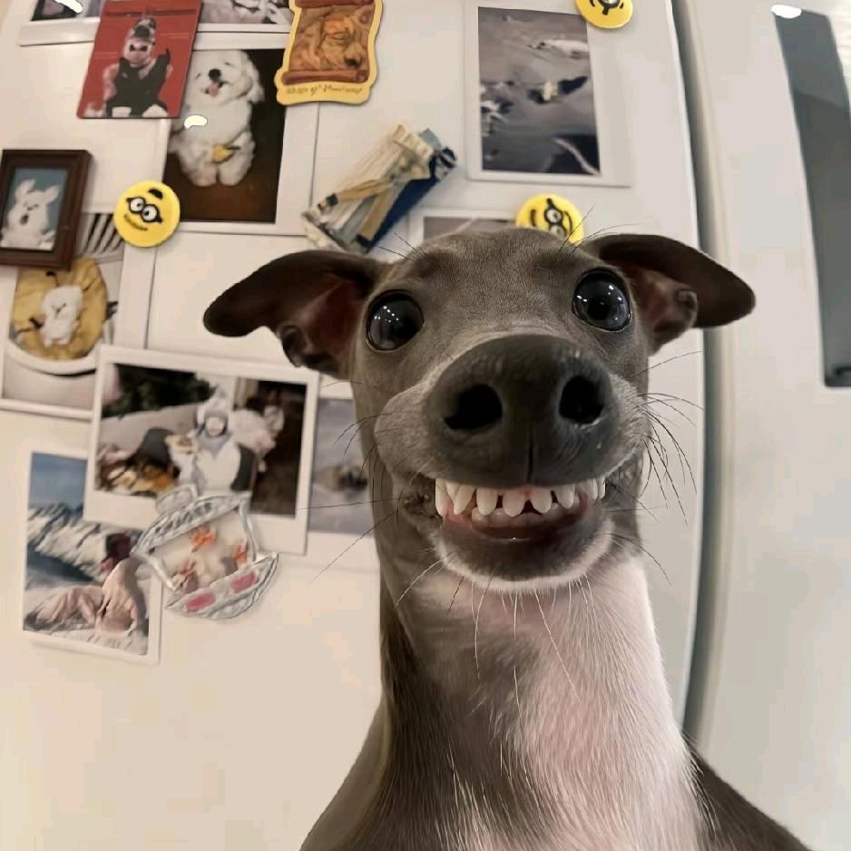 yyyyyyy.