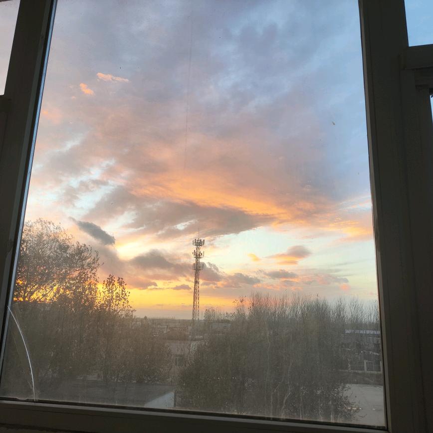 此心安处是
