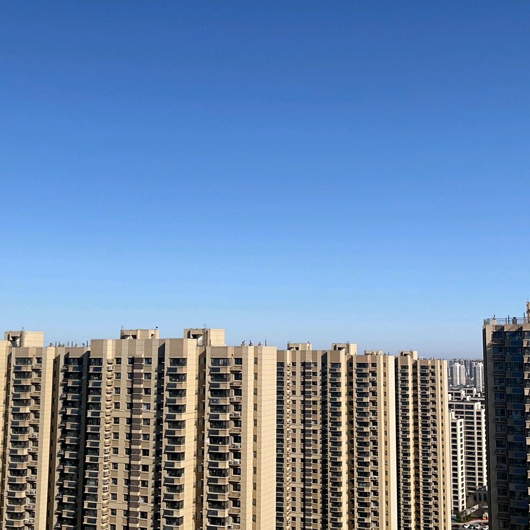 00后勇闯temu