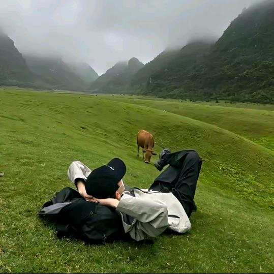 加🍗