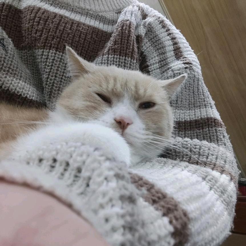 蜡笔小新