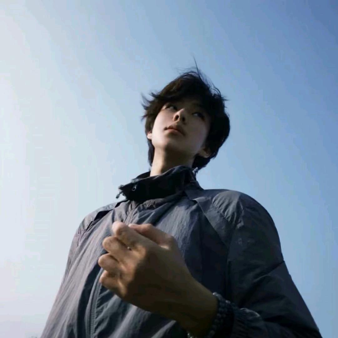 梧桐.