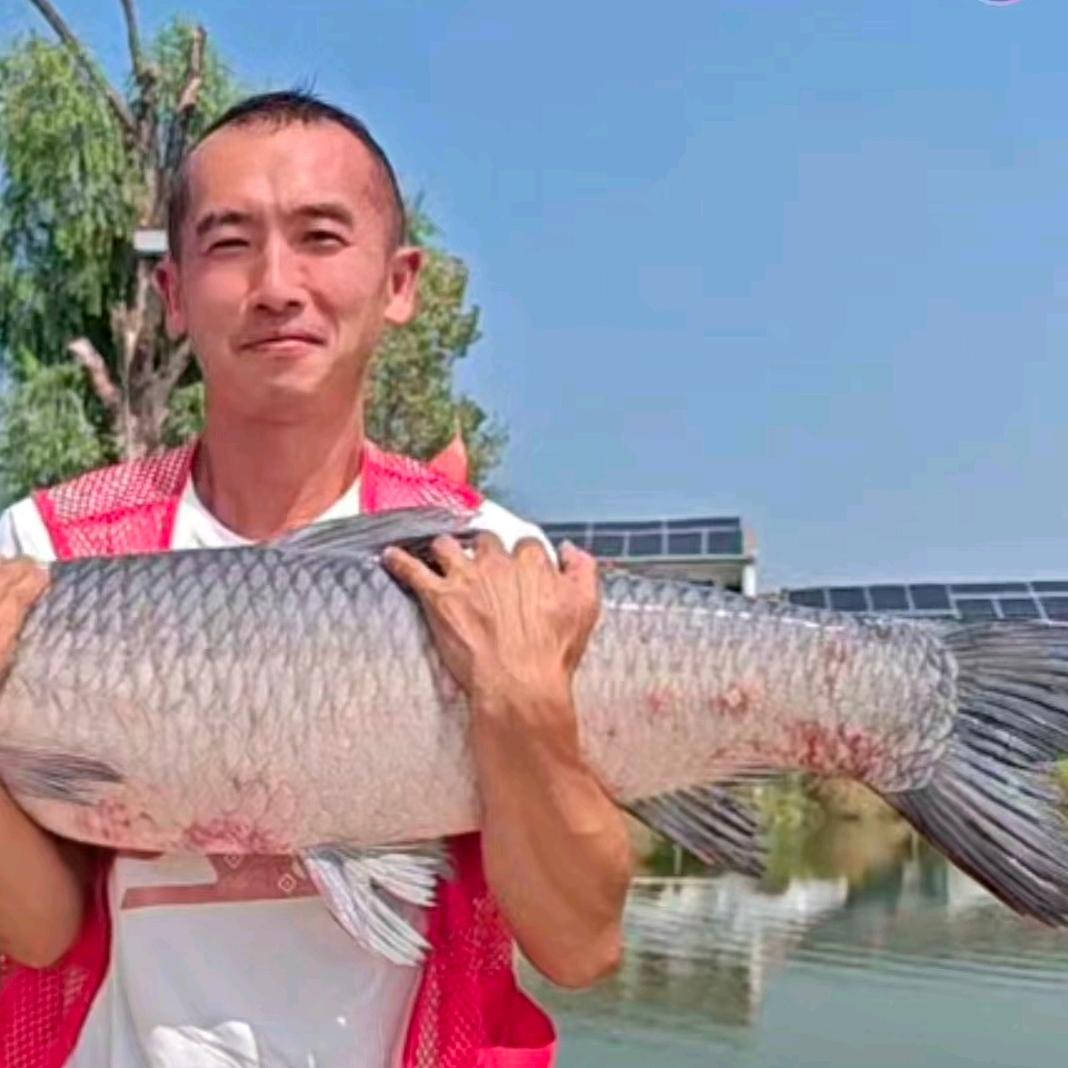 探钓黄梅，空军小王子