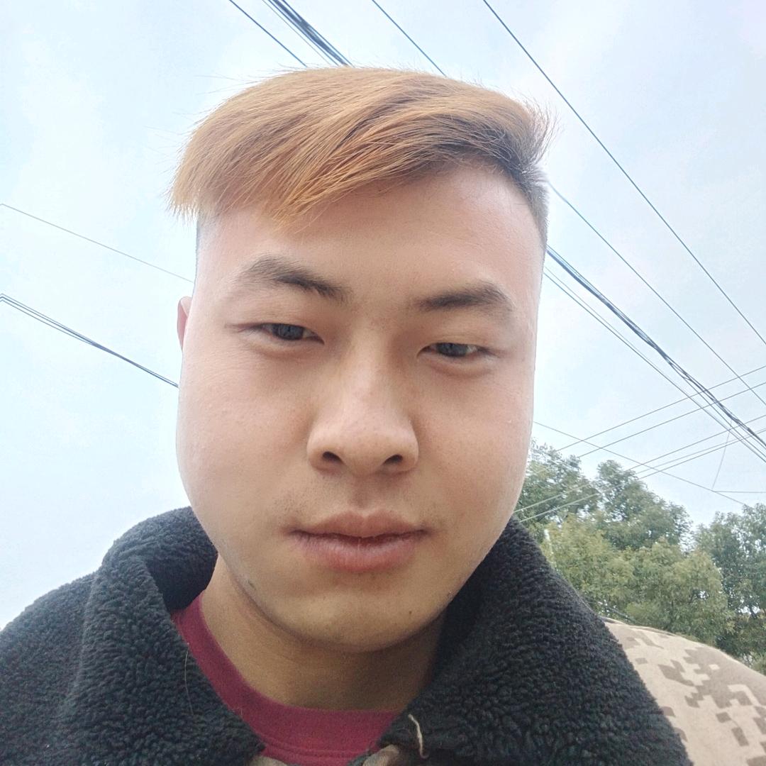 丢失的猫