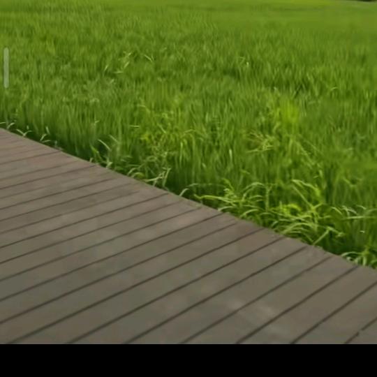 一～笑～而～过