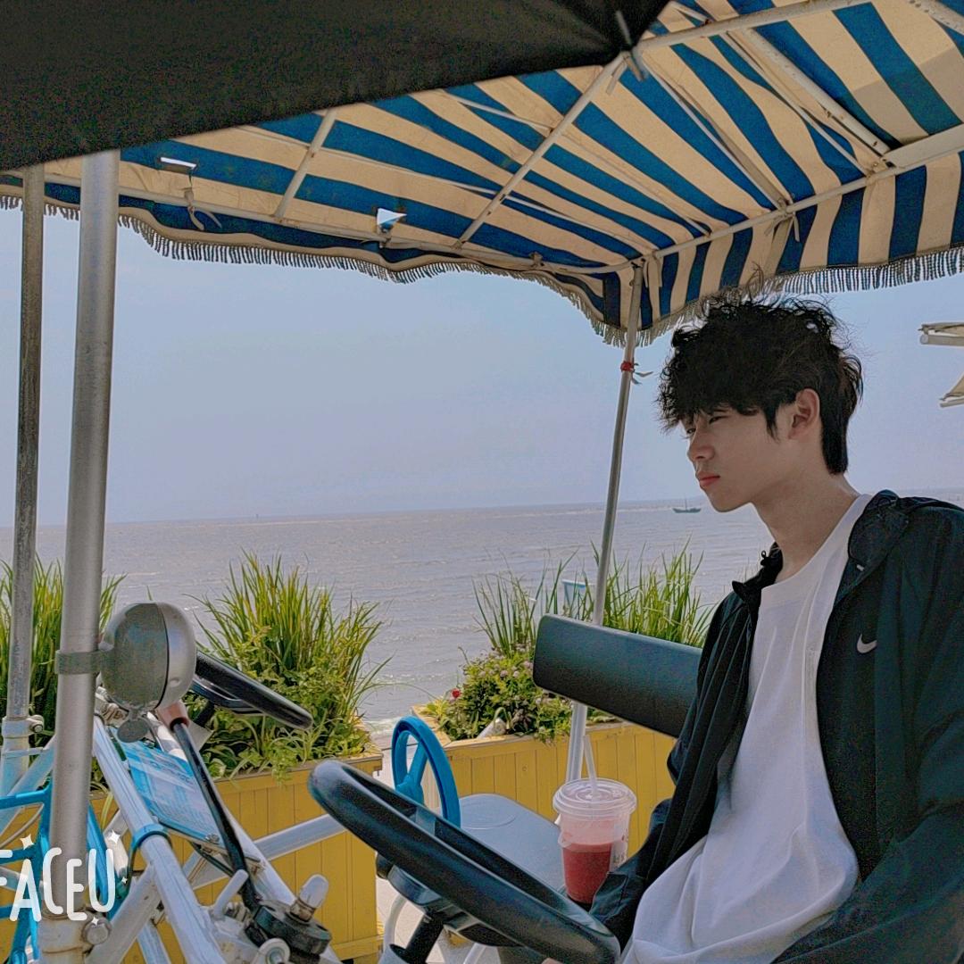 人生若只如初见