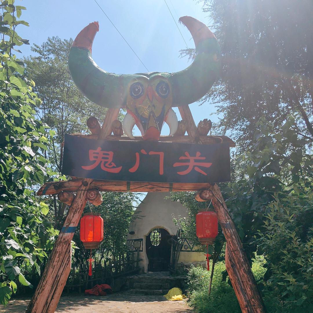 半生南归