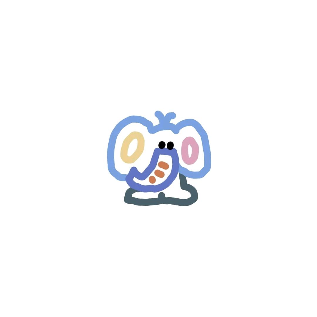 WiFi🍔