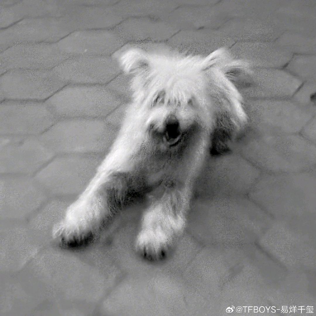 哈根达斯